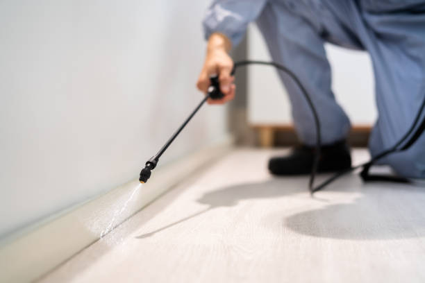 Professional exterminator conducting IPM assessment in Hahira