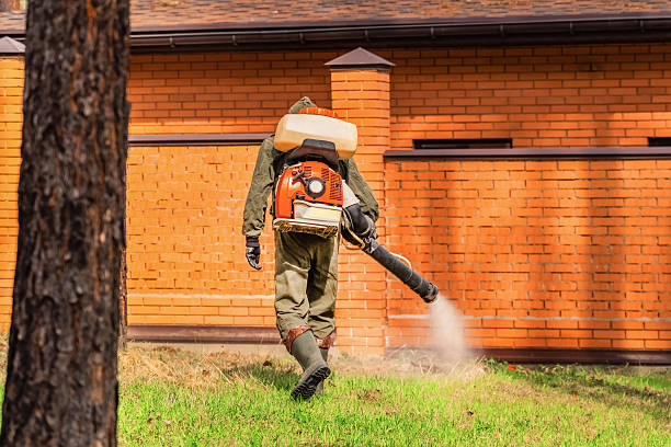 Bed Bug Clearance Verification and Documentation in Hahira